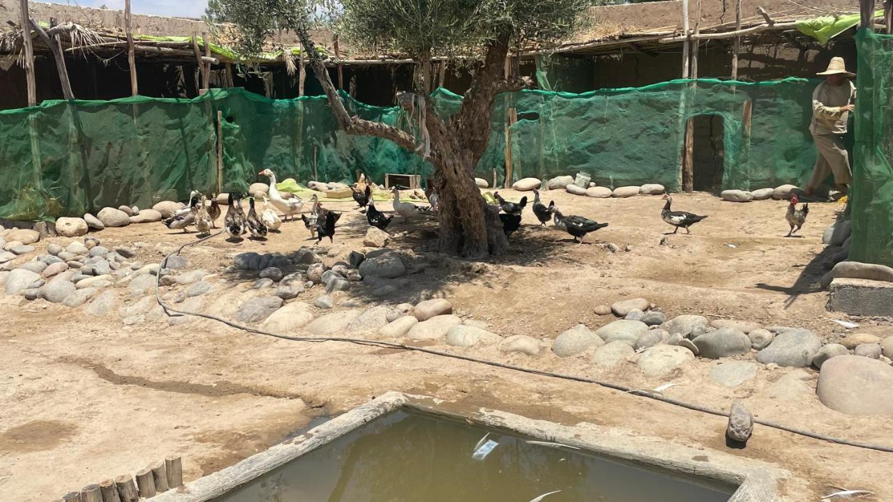 Hotel Agafay, La Ferme Nomade Bivouac El Karia Exteriér fotografie