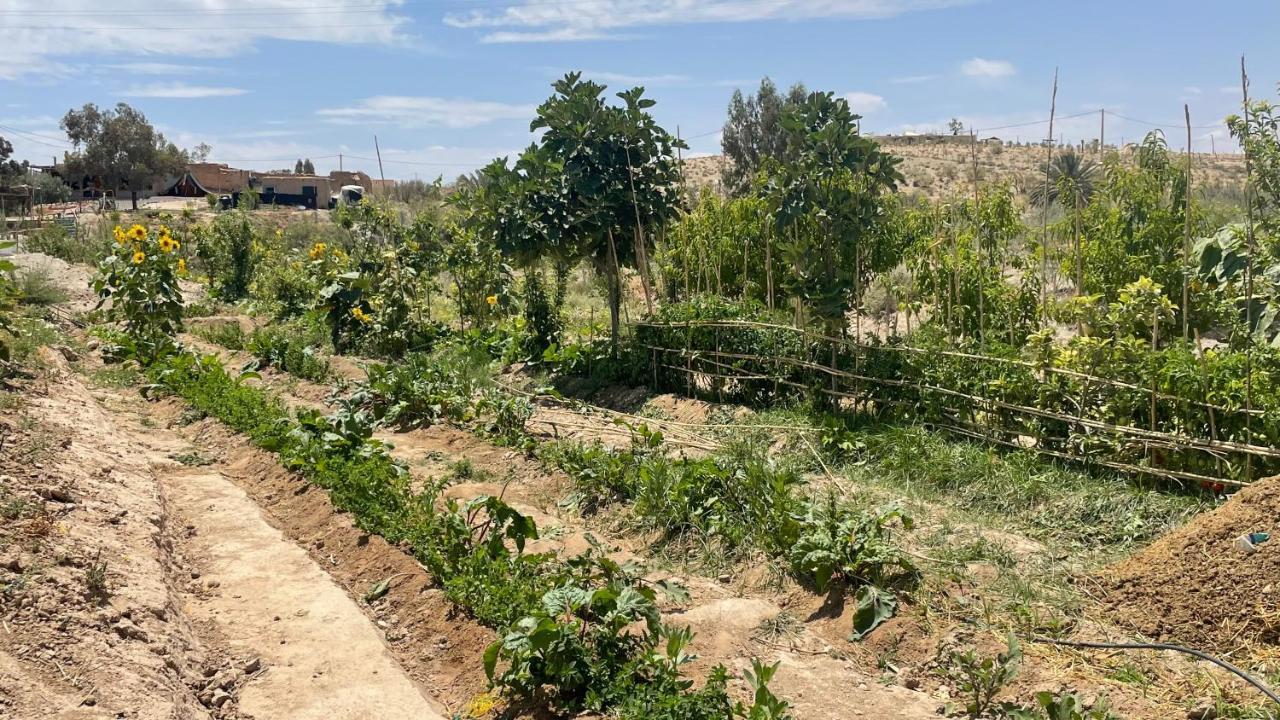 Hotel Agafay, La Ferme Nomade Bivouac El Karia Exteriér fotografie